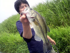与田浦フィッシャーマンズパークから出船した釣れない君一匹目のバス
